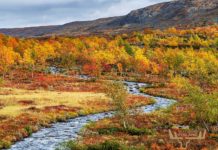 Best time to visit Finland – the four seasons