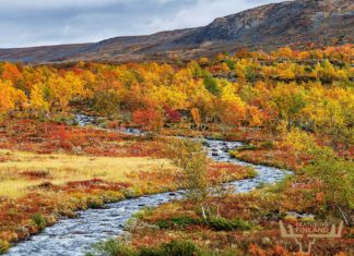 Best time to visit Finland – the four seasons