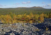 National Parks in Finland – 10 Best Places for Hiking and Camping