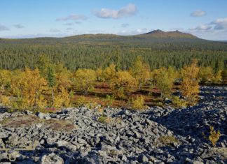 National Parks in Finland – 10 Best Places for Hiking and Camping