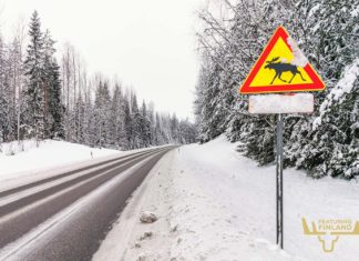Driving in Finland – Tips and 4 Best Road Trips moose warning sign