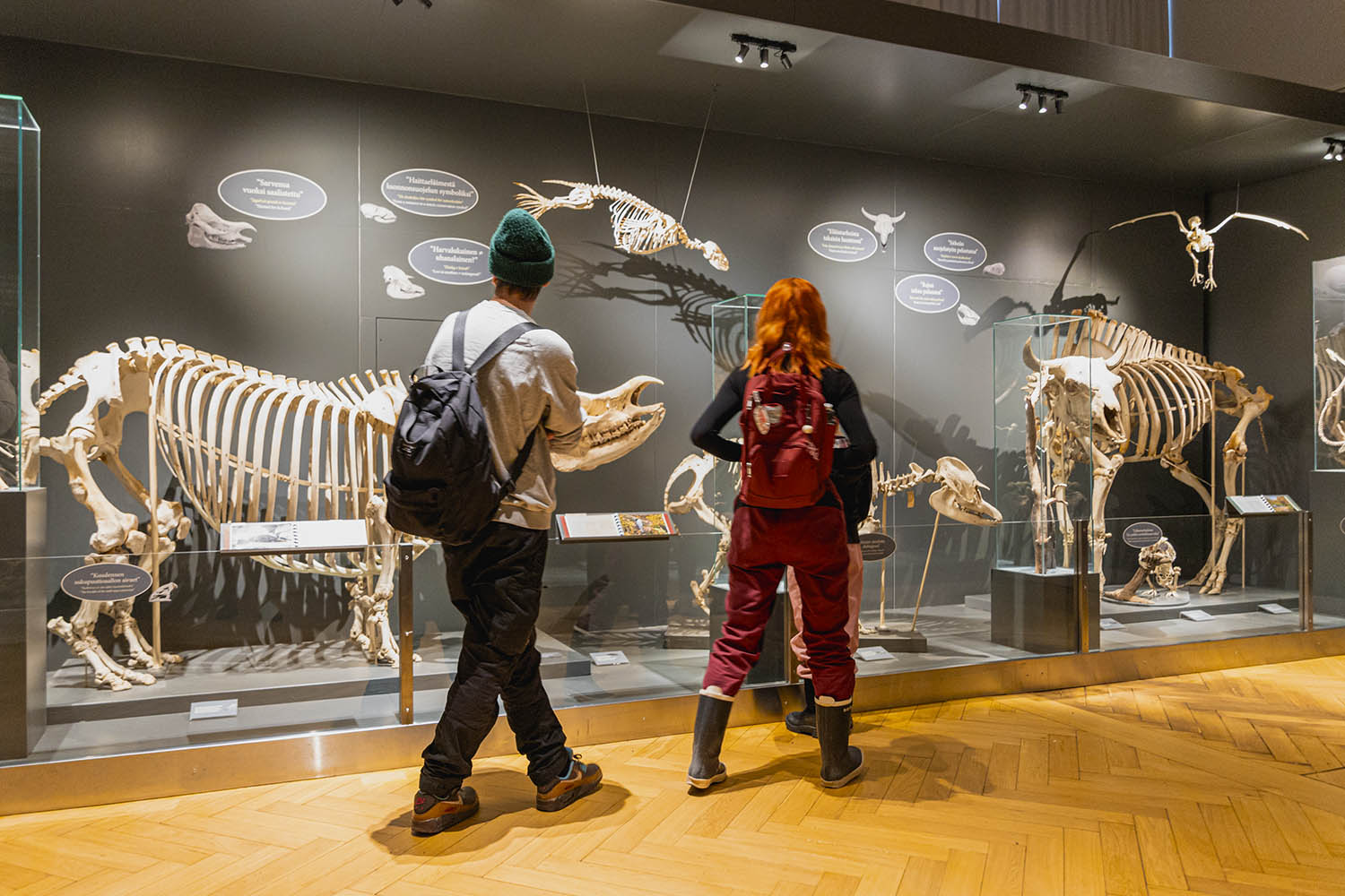 Natural History Museum Helsinki