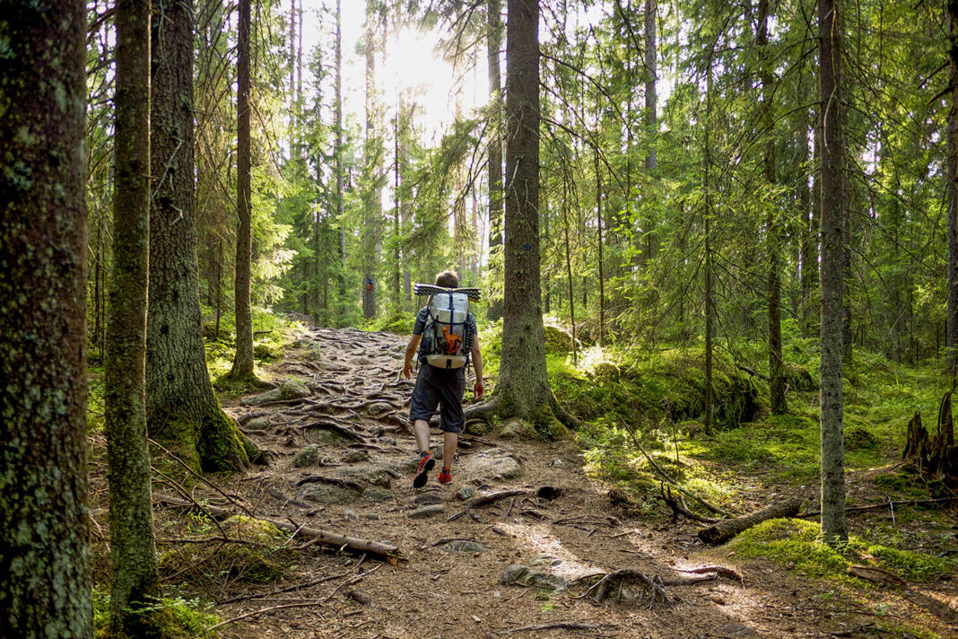 Nuuksio National Park Finland
