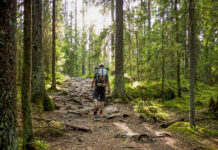 Capital of the Wild – Best Outdoor Activities in Helsinki Nuuksio National Park Finland