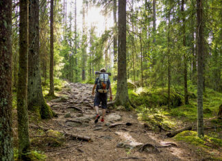 Capital of the Wild – Best Outdoor Activities in Helsinki Nuuksio National Park Finland